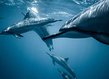 kaiyun-九游sports：用科技点亮运动热爱的未来