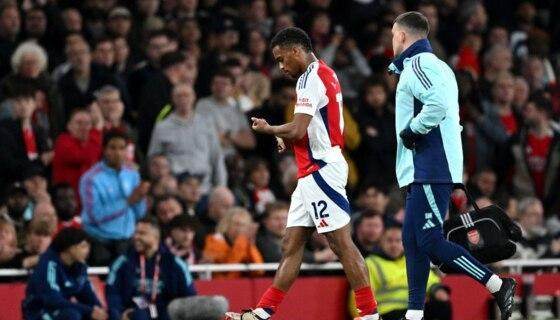 1730077327510003090.jpg timber.jpg